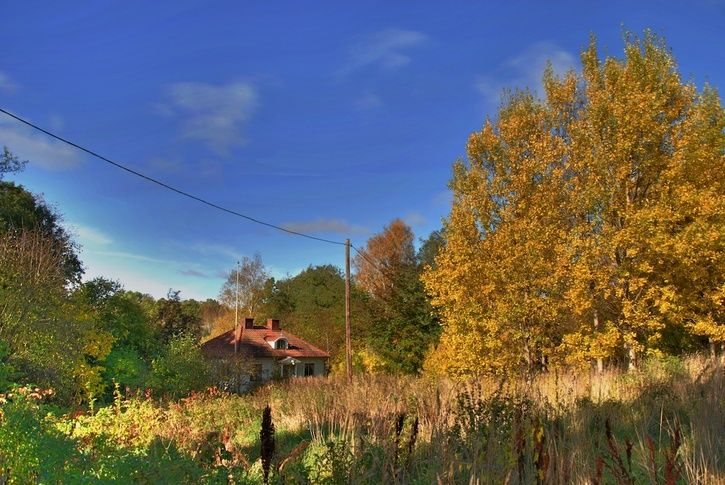 hdr15.jpg ht=485