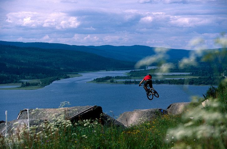 henrik1.jpg