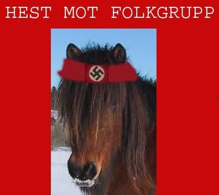 hest_mot_folkkrupp.jpg