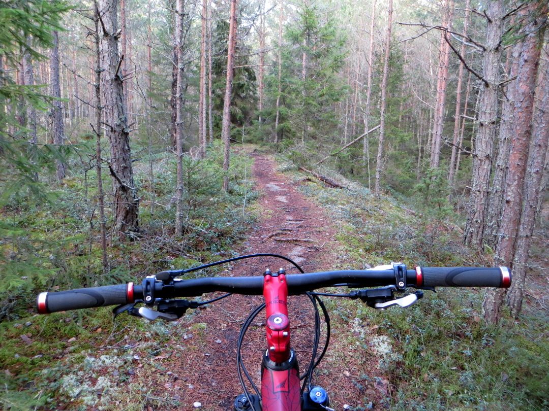 home_trailsteer.JPG