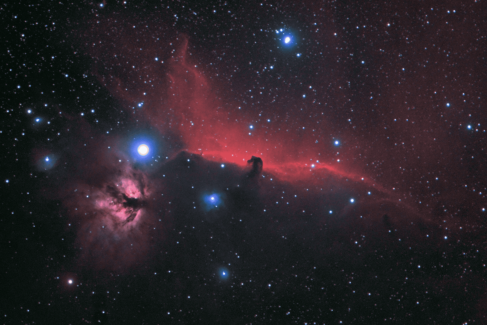 Horsehead32_Projekt2_rgb_k4.png