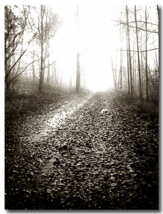 Hstsepia.jpg ht=725