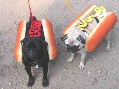HotDogs.jpg ht=292