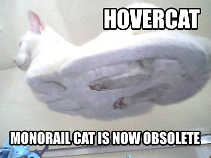 hovercatbo4.jpg ht=318