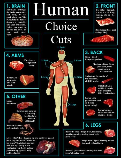 howto-eat-human.w1456.jpg