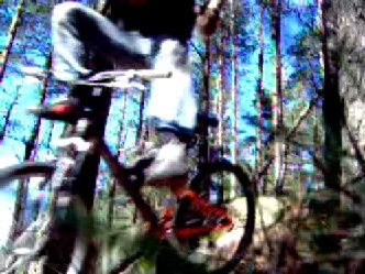 HPIM0002_05.jpg ht=249