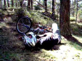 HPIM0002_06.jpg ht=249