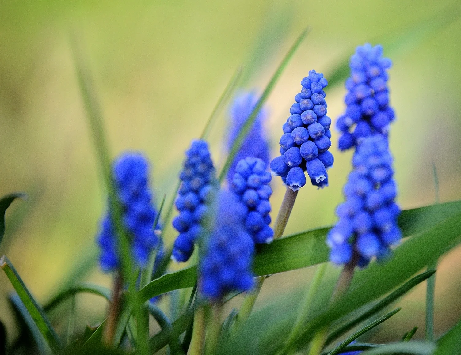 HPM_5333_03414.webp