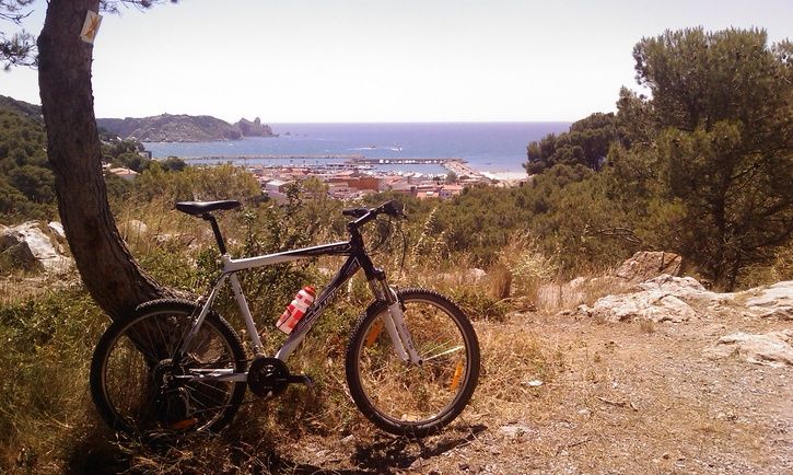 htc_090627033.jpg ht=434