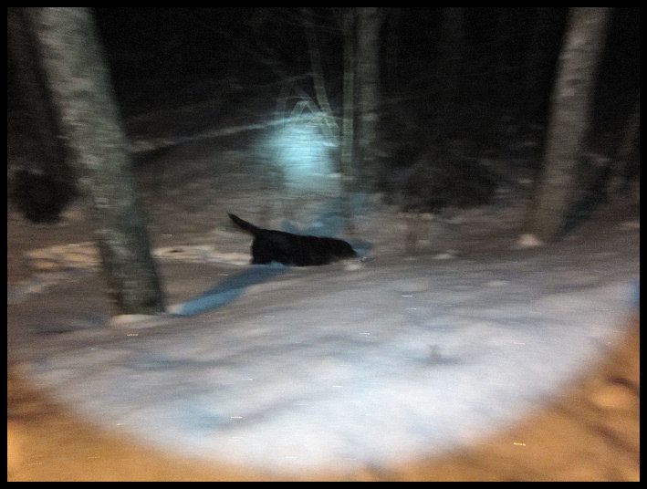 hund_och_huck_01.jpg ht=536