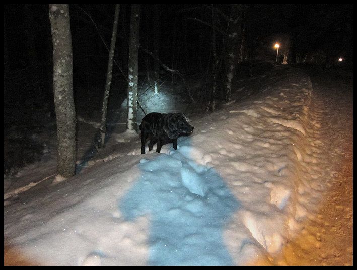 hund_och_huck_02.jpg ht=536