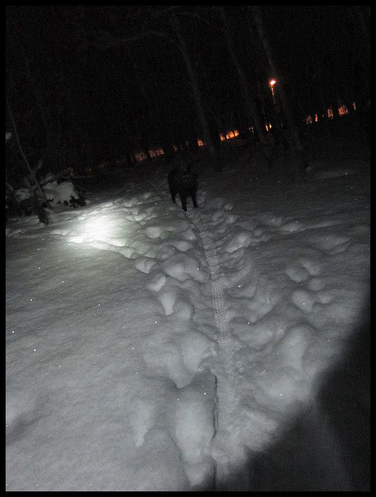 hund_och_huck_03.jpg ht=709