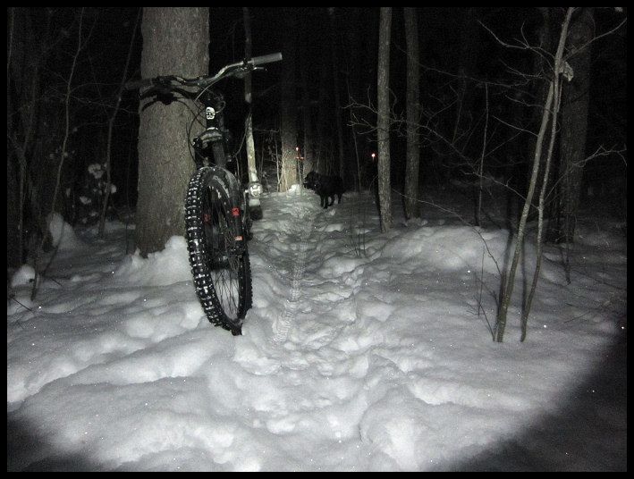 hund_och_huck_04.jpg ht=536