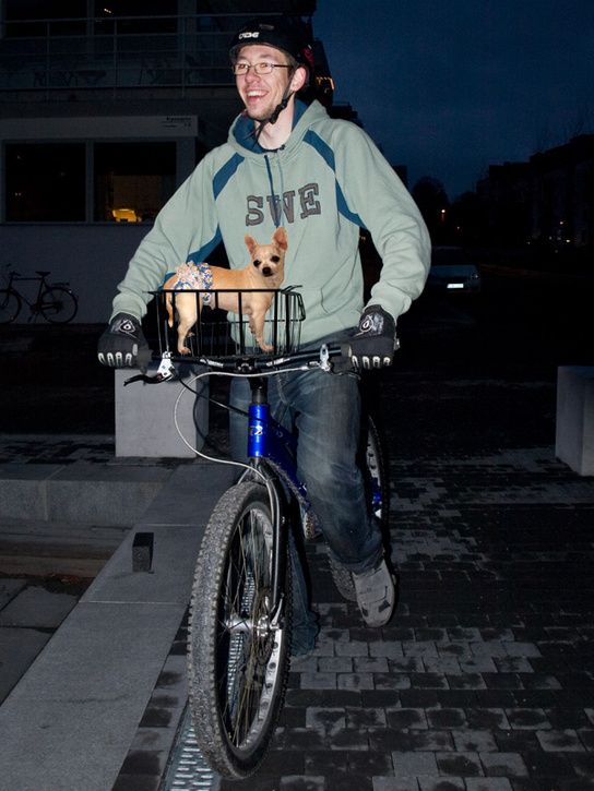 hundikorg.jpg ht=725