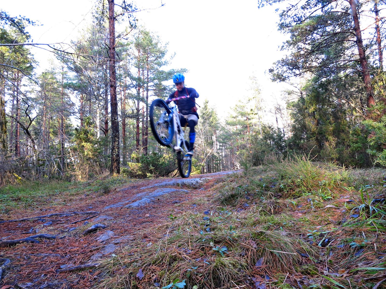 Hundpromenix-04.jpg