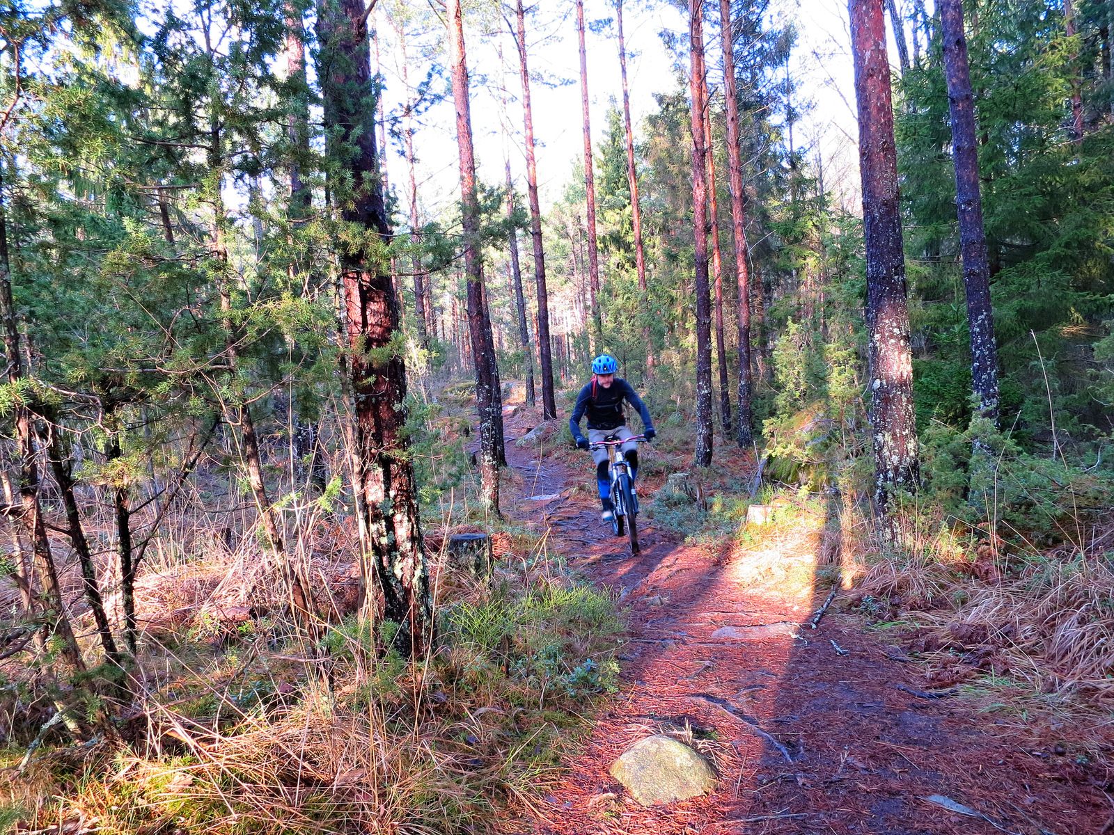 Hundpromenix-07.jpg