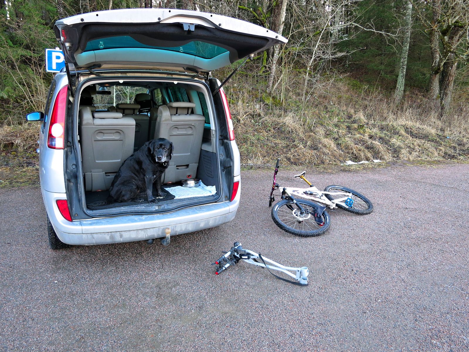 Hundpromenix-41.jpg