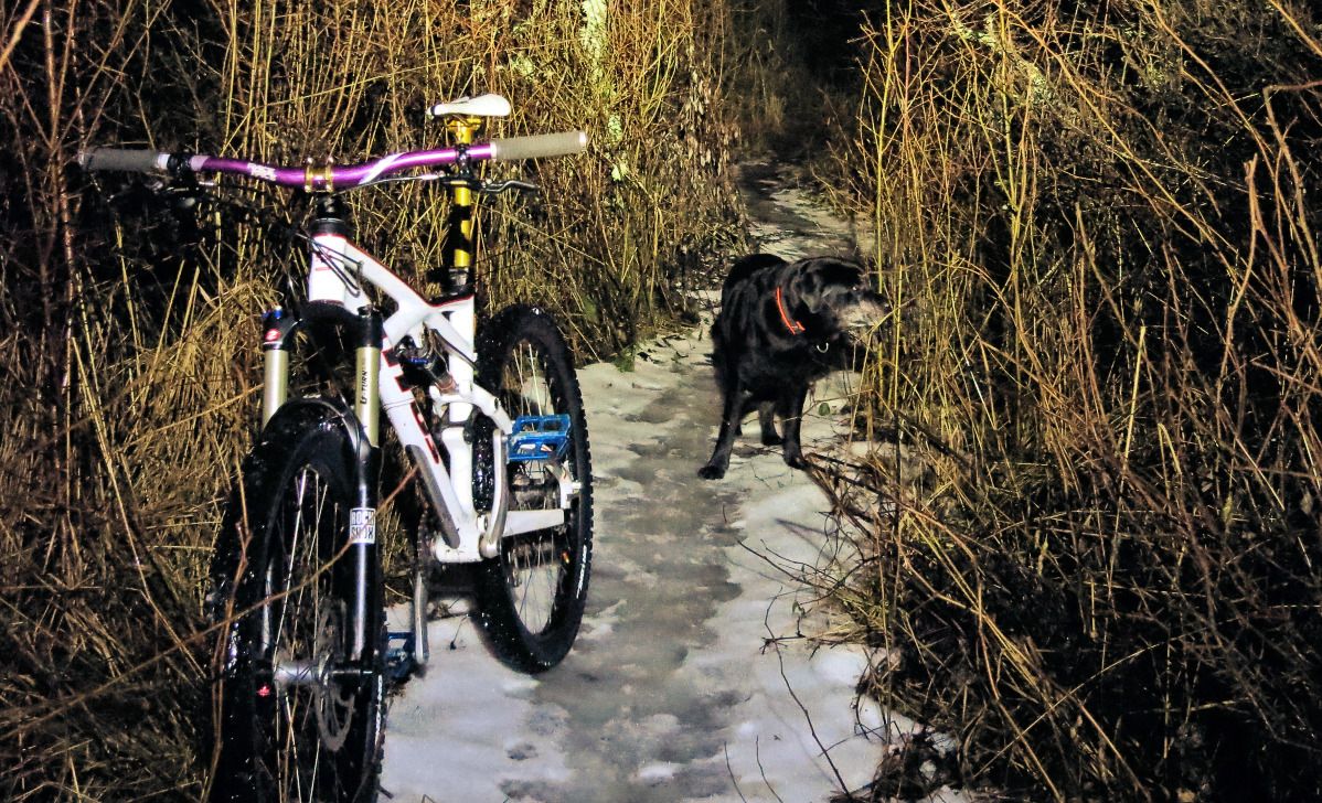hundpromenix.jpg