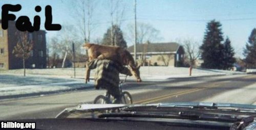 hunter-fail.jpg ht=255