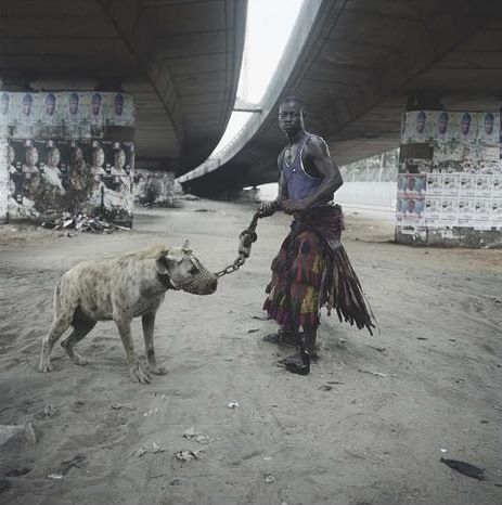 Hyena.jpg