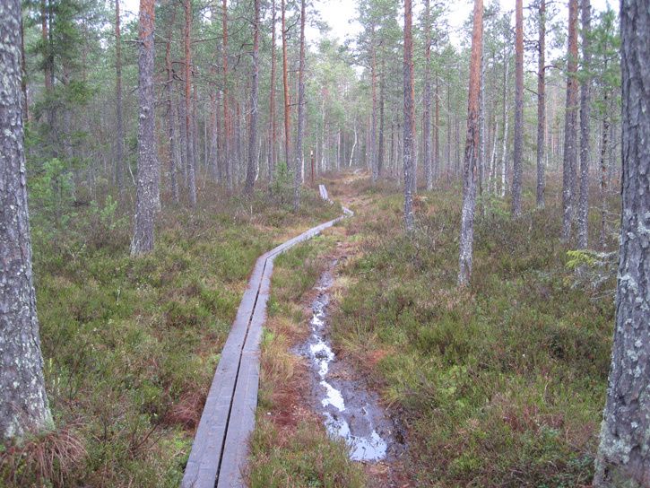 i20tavelsjleden2.jpg