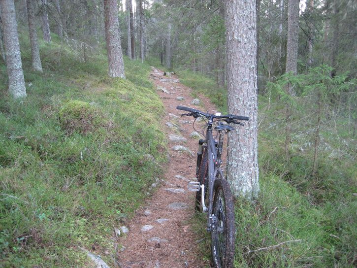 i20tavelsjledenhamptjrnsberget2.jpg