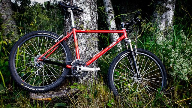 ibis.trad.120723.jpg