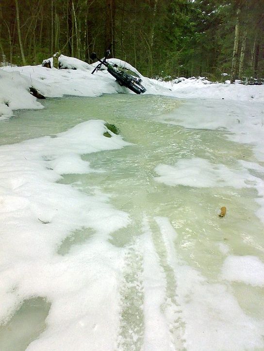 ice.jpg ht=725