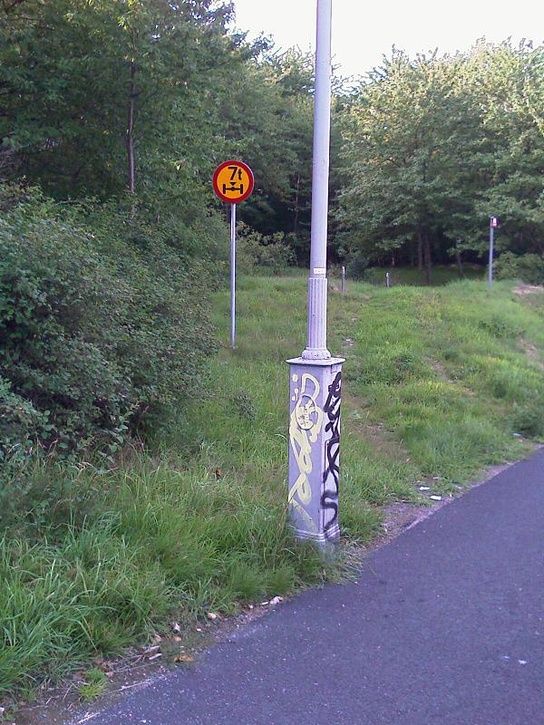 IMAG0034liten.JPG ht=725