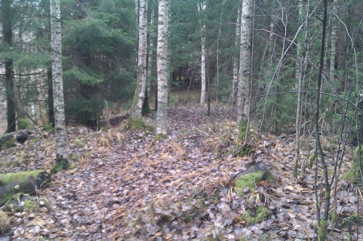 IMAG0056.jpg