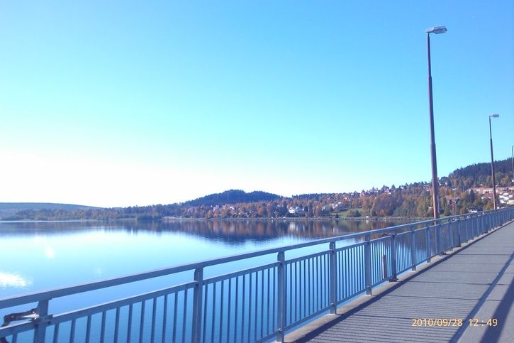 IMAG0083.jpg ht=483