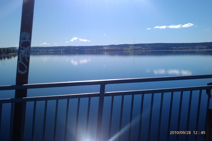 IMAG0086.jpg ht=483