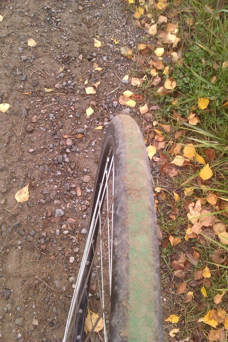 IMAG0117.jpg