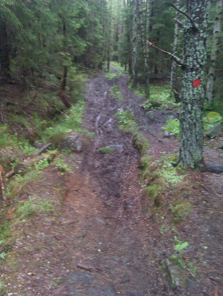 IMAG0215.jpg