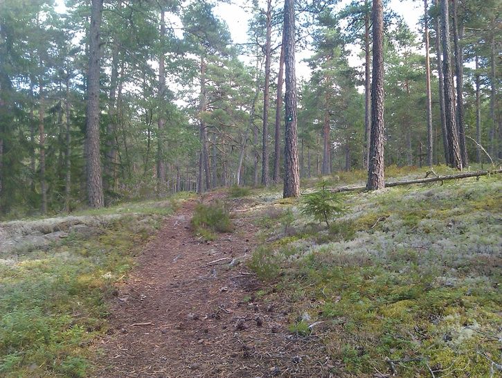 IMAG0218.jpg