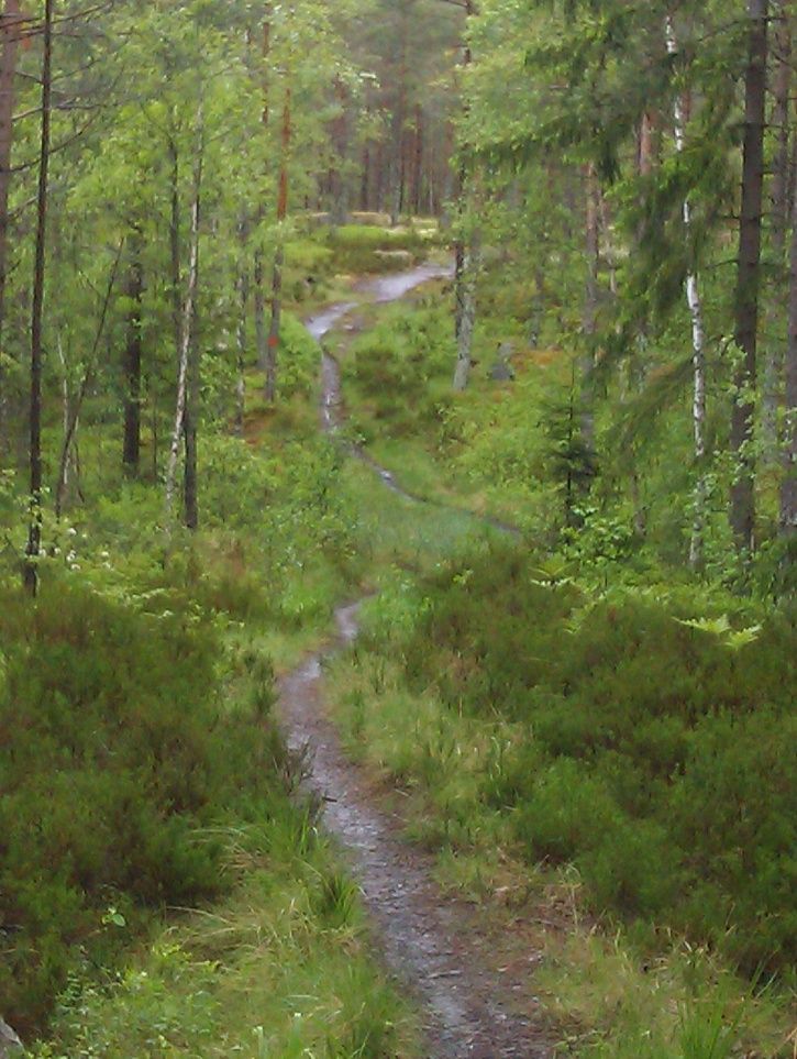 IMAG0227.jpg