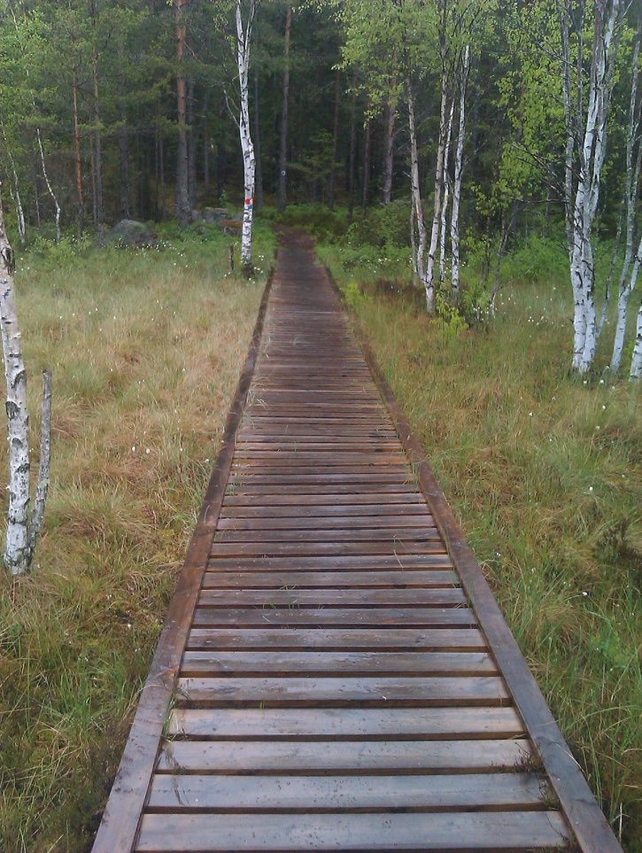 IMAG0228.jpg