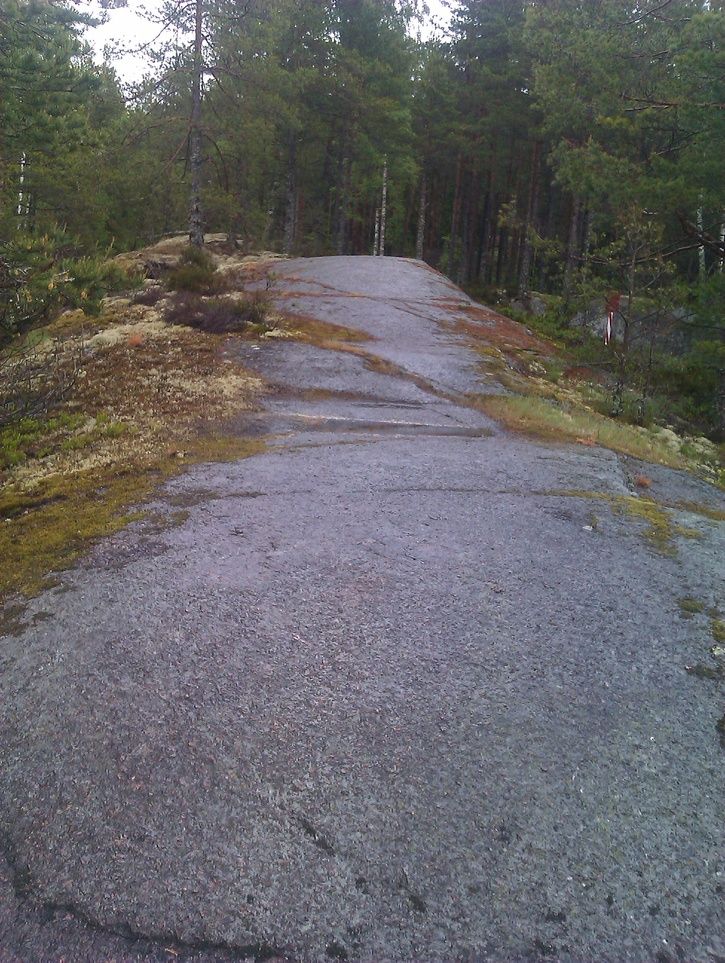 IMAG0229.jpg