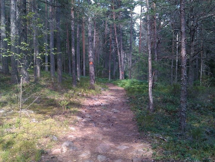 IMAG0230.jpg