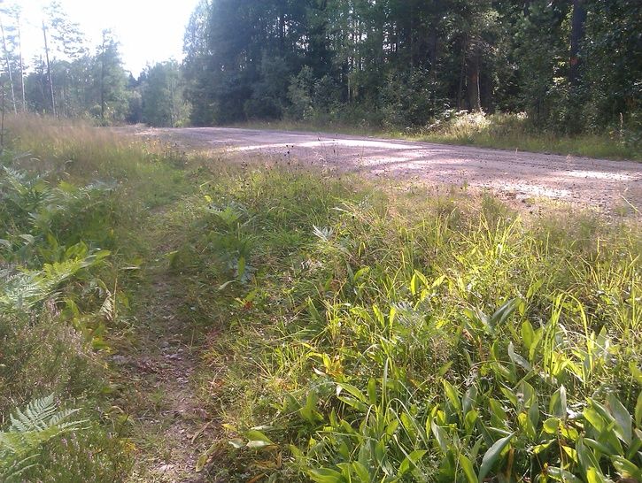 IMAG0238.jpg