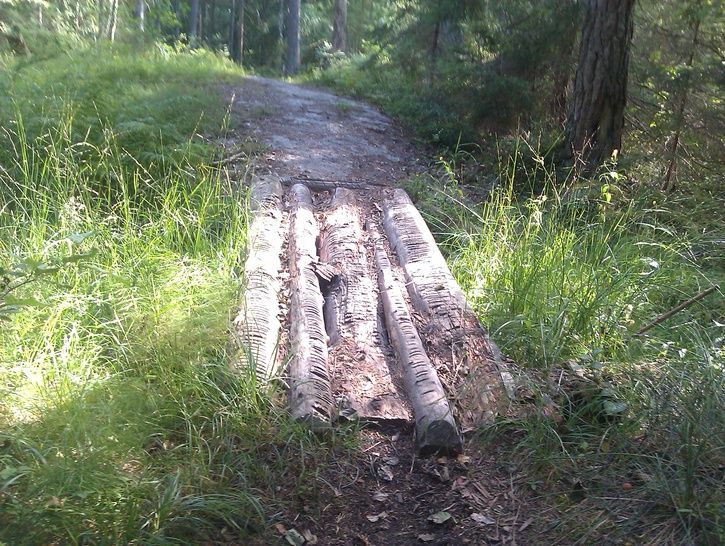 IMAG0239.jpg