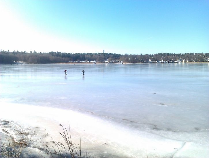 IMAG0262.jpg