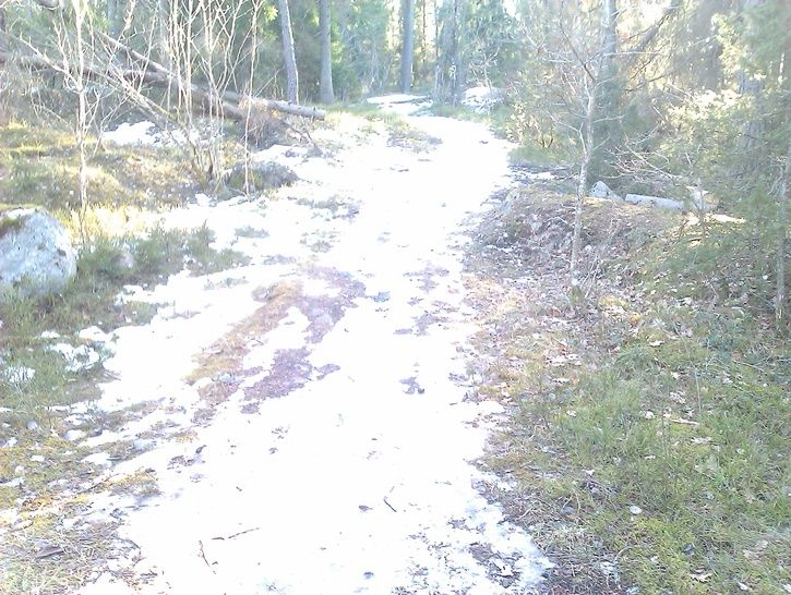 IMAG0274.jpg