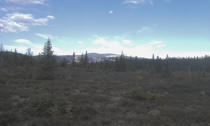 IMAG0284.jpg