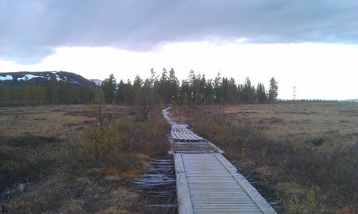 IMAG0291.jpg