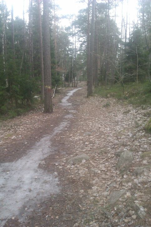 IMAG0318.jpg ht=725