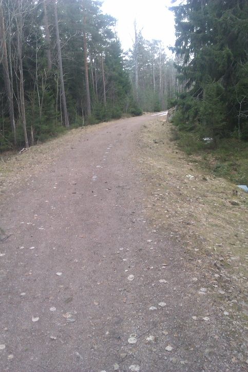 IMAG0323.jpg ht=725