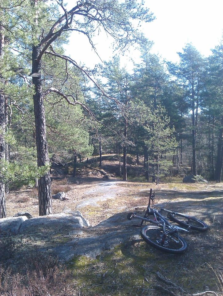 IMAG0472.jpg