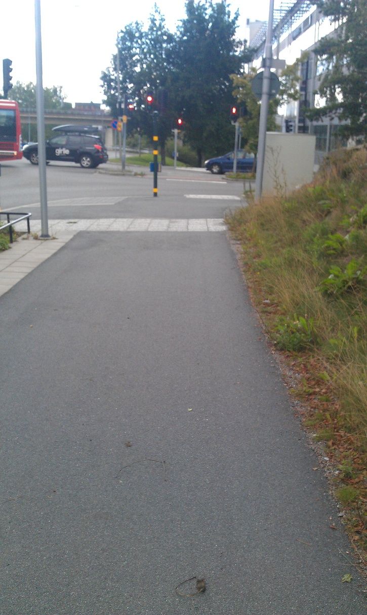 IMAG0474.jpg