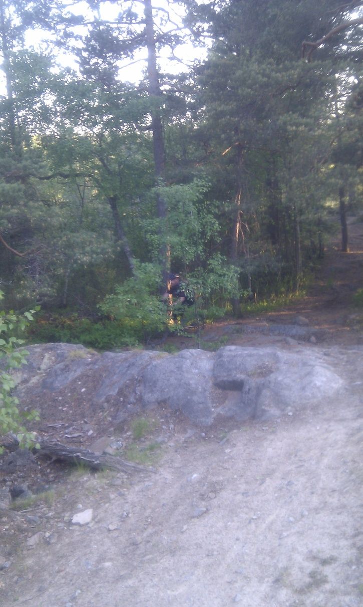IMAG0544.jpg